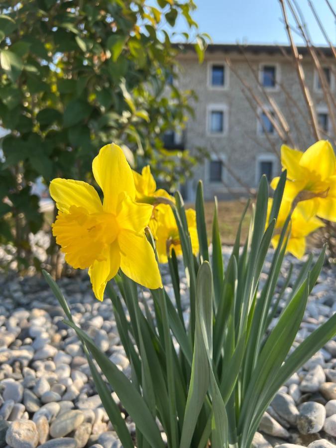ホテル Atmosfere Charme & Country Borgo San Mauro エクステリア 写真